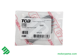 Catena pompa acqua tgb 924351 (2)